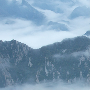 网站流量攻击